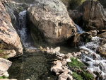 Goldbug Hot Springs in Idaho