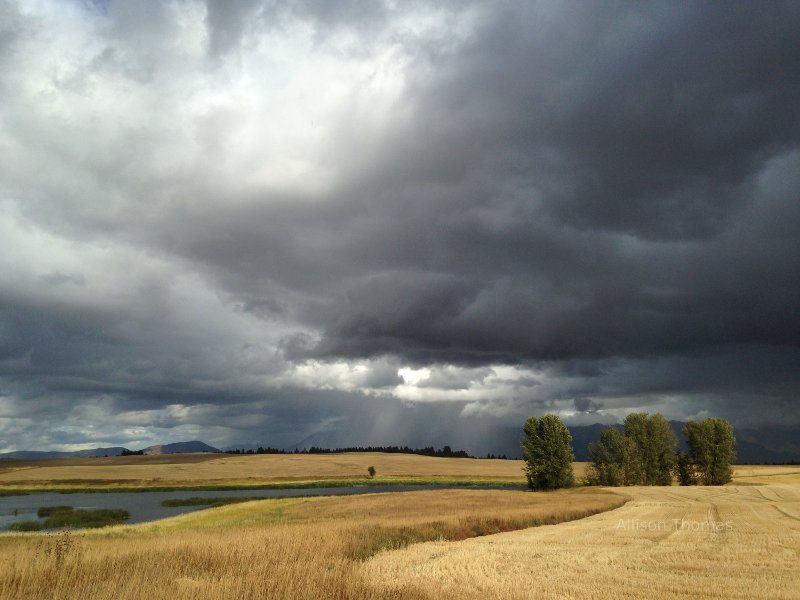 Beautiful storm over the wheat fields in Western Montana