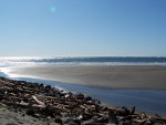 Beach by the ocean.