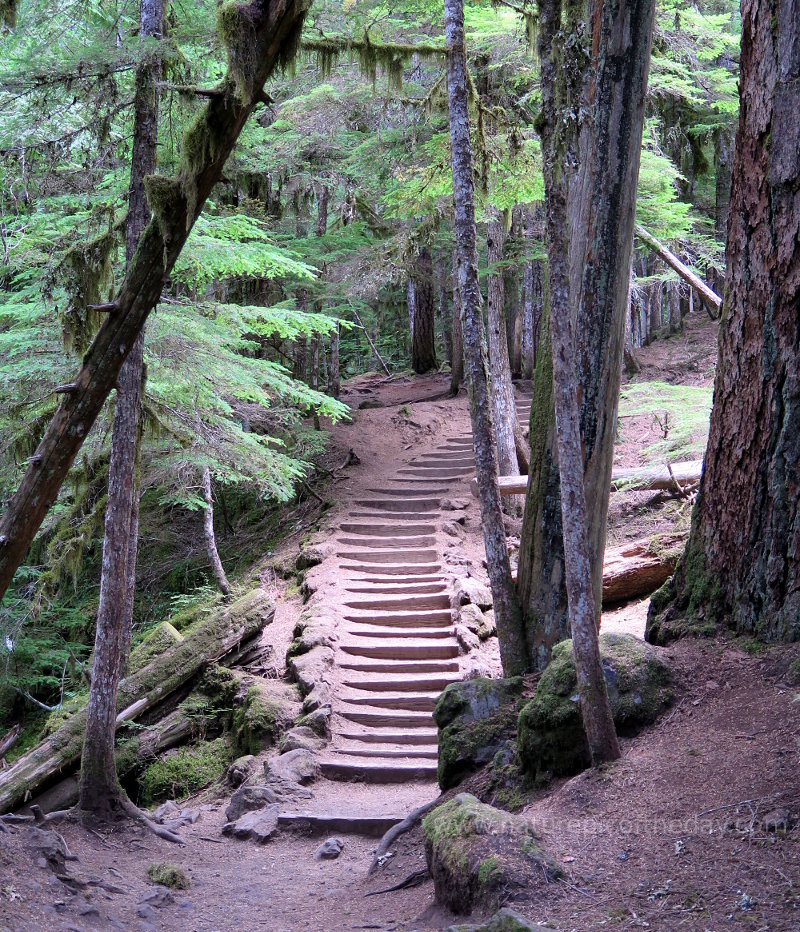Stairs on a waterfall trail in Oregon