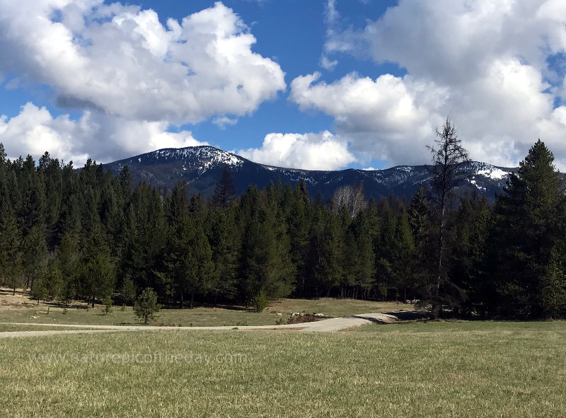 Early springtime in Montana