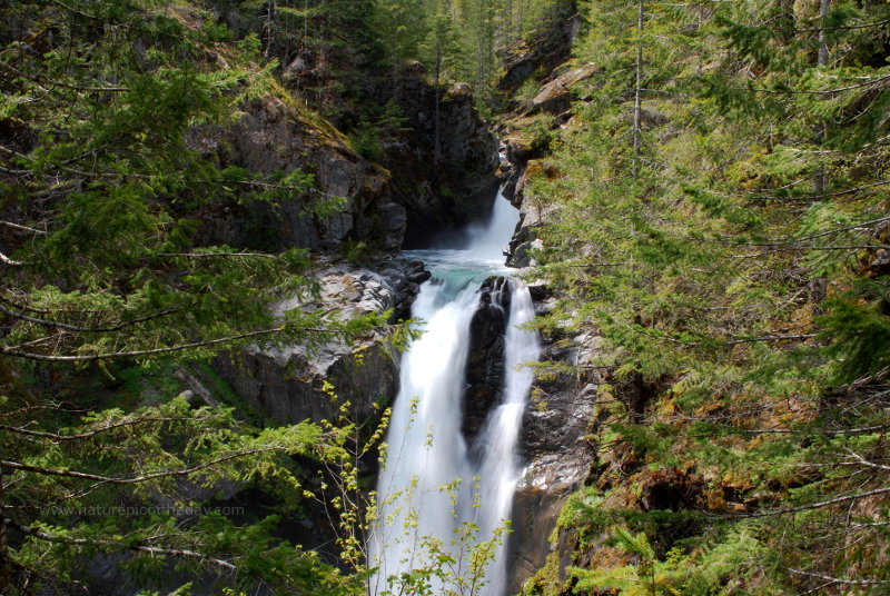 Waterfall on the Olympic Peninsula