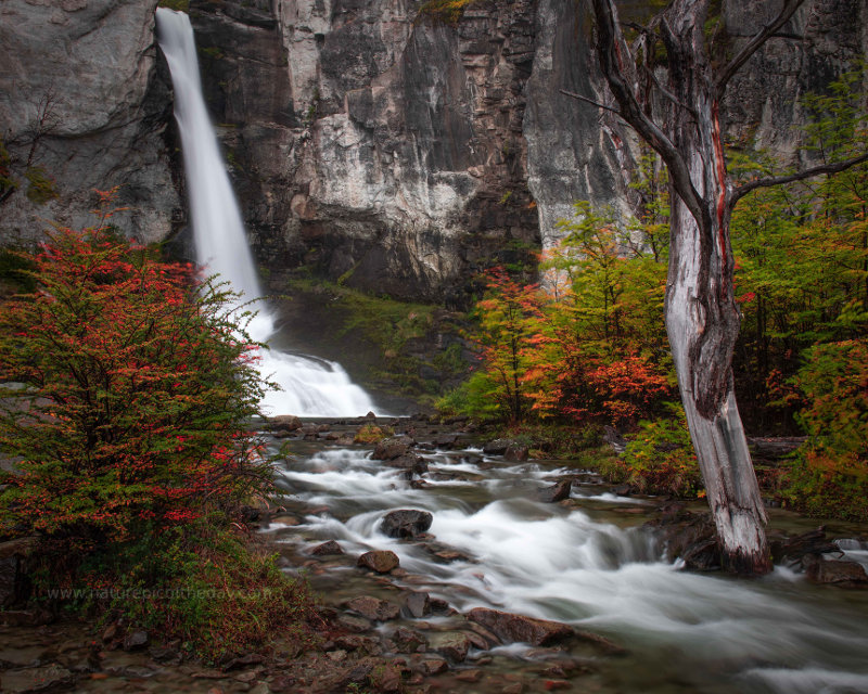 Chorrillo del Salto near El Chalten, Argentina