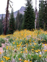 Lassen Volcanic National Monument