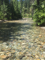 Mountain stream in Montana