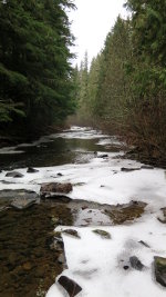 Frozen headwaters of the Palouse River