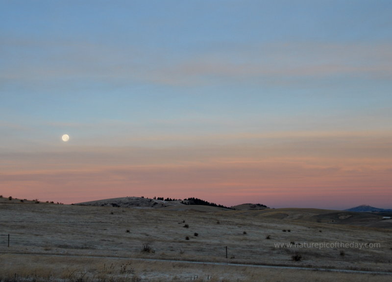 Moonset on the Palouse Hills