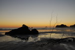 Beach at Tahola, Washington