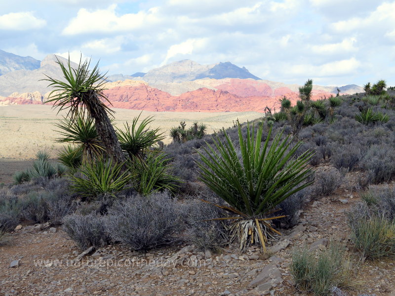 Red Rock Canyon outside of Las Vegas, Nevada