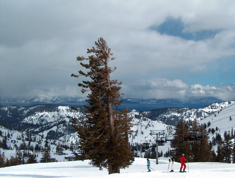 Squaw Valley Resort near Lake Tahoe