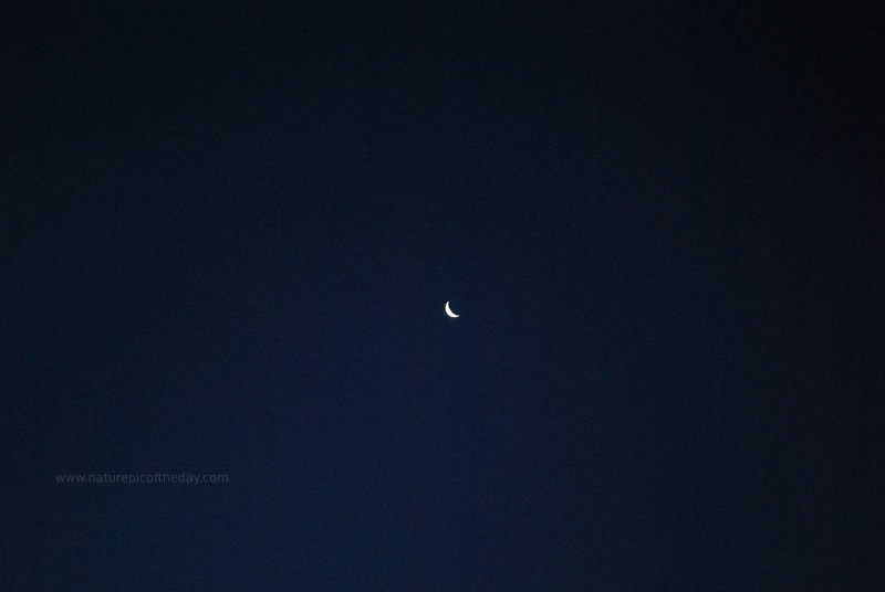 Crescent Moon at night.