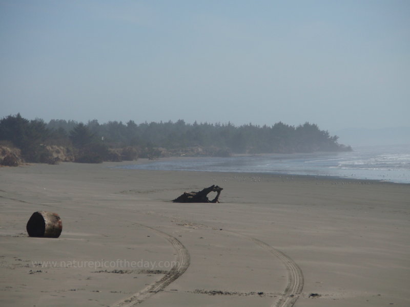 Driving on the Beach in Washington State