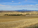 Wheat country in the Palouse