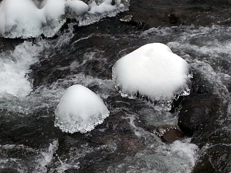 Frost in a creek in Oregon