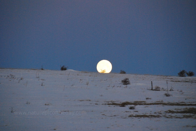 Moonset in Winter