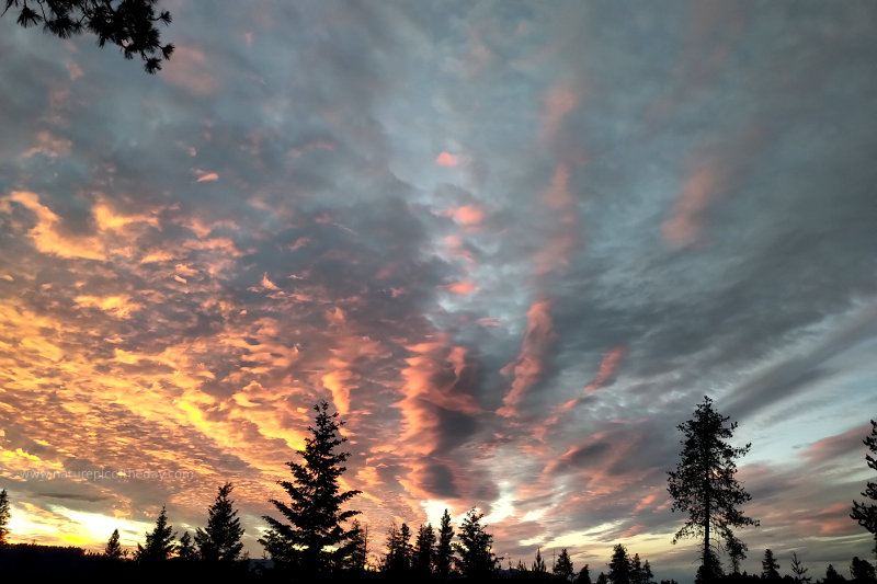 Light dancing on clouds on the summer solstice