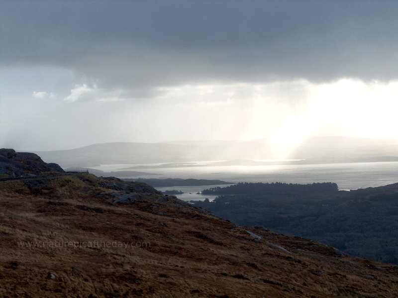 Rainstorm in Ireland