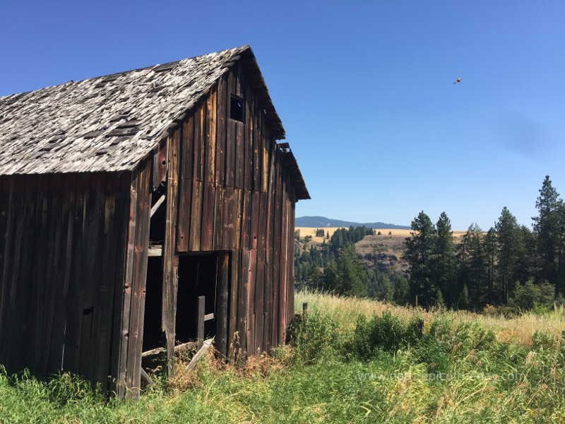 Barn in idaho