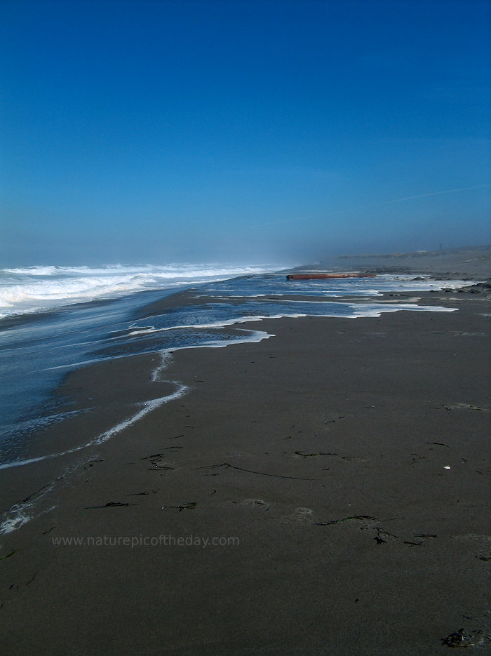 Beach in Eureka, CA