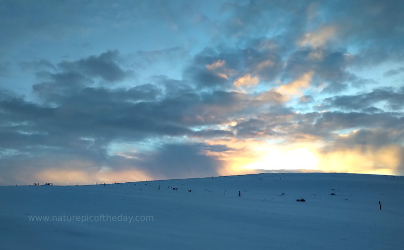 Sunset in the Winter