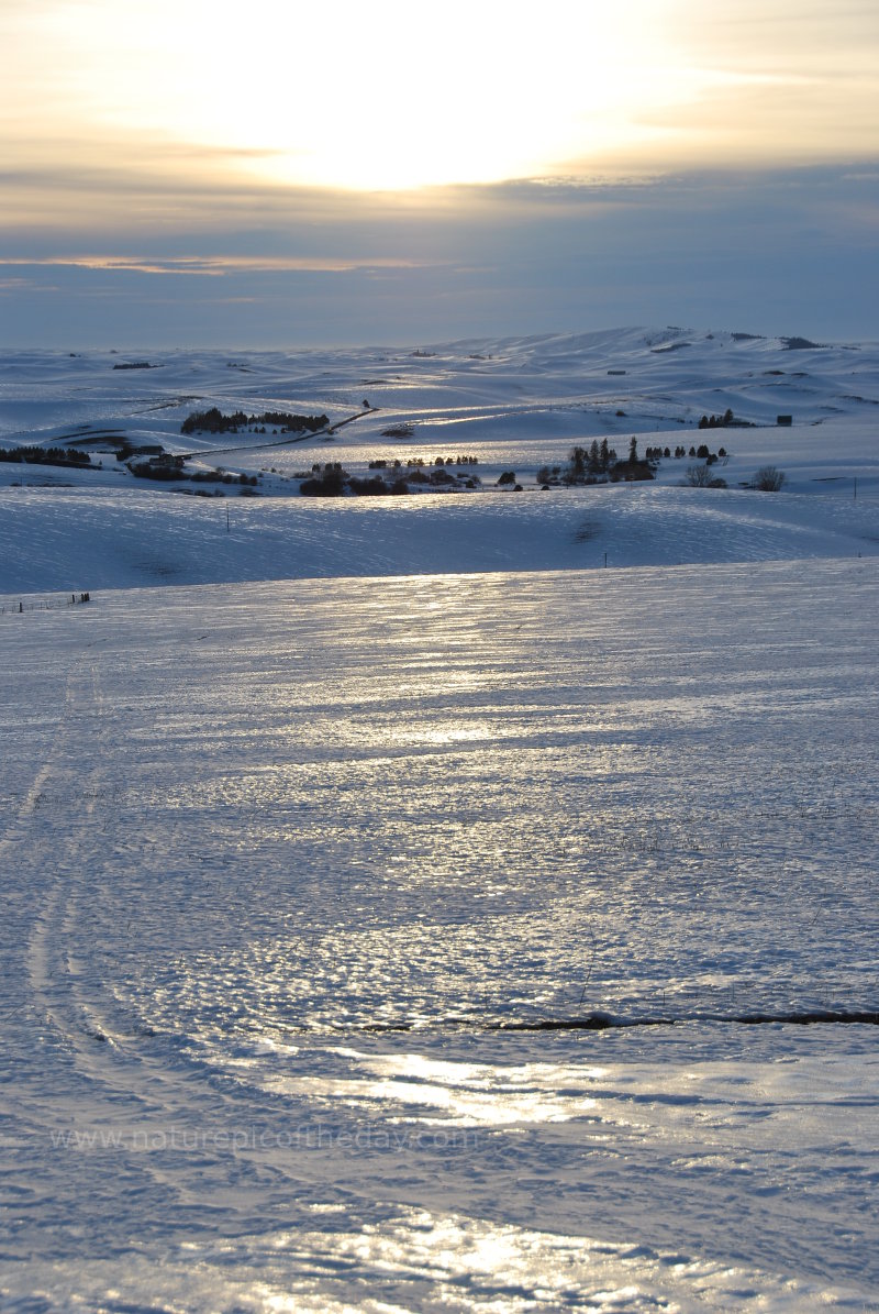 Winter on the Palouse