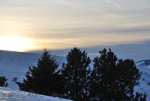 Hawk watching the sunset