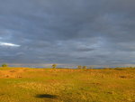 Sunset in Eastern Montana