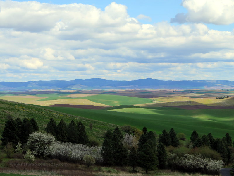 Clouds, fields and the Palouse