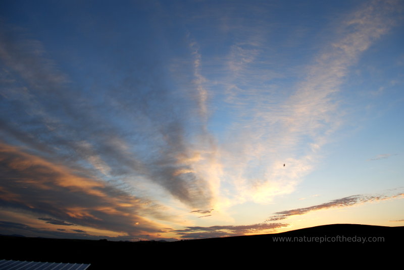 Morning on the Palouse