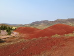Painted Hills Oregon Red Dirt