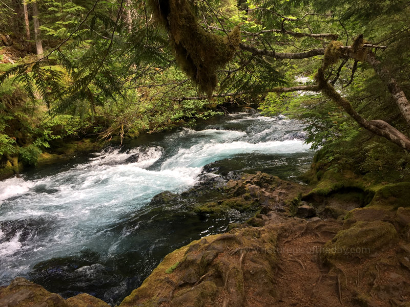 McKenzie River in Oregon