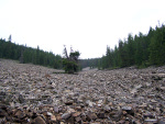 Rocky, talus slope in the Rocky Mountains of Montana