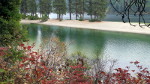 Green water and red leaves in Idaho