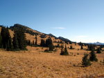 Mount Rainier National Park