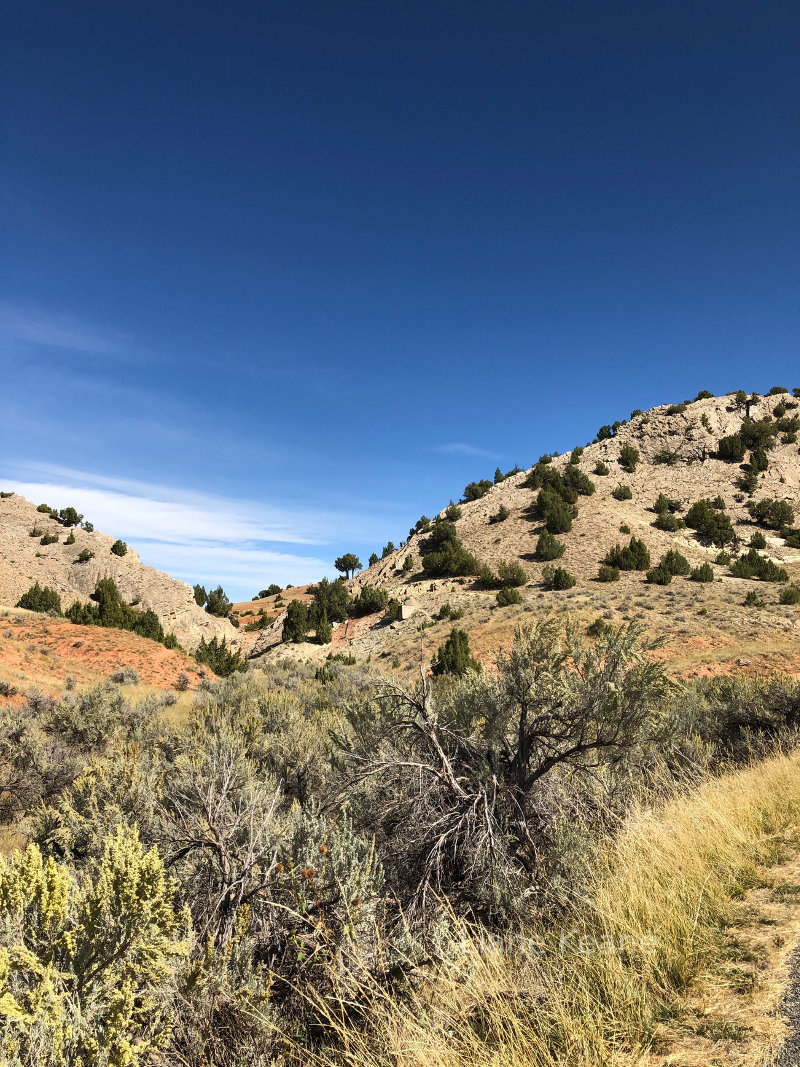 Wyoming desert or maybe prairie.