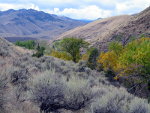 Mountain hiking in Idaho