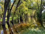 Rum River in the spring in Minnesota