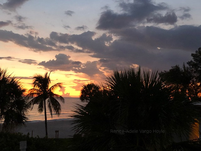 Sunset & Palm Tree on Anna Marie Island, Florida