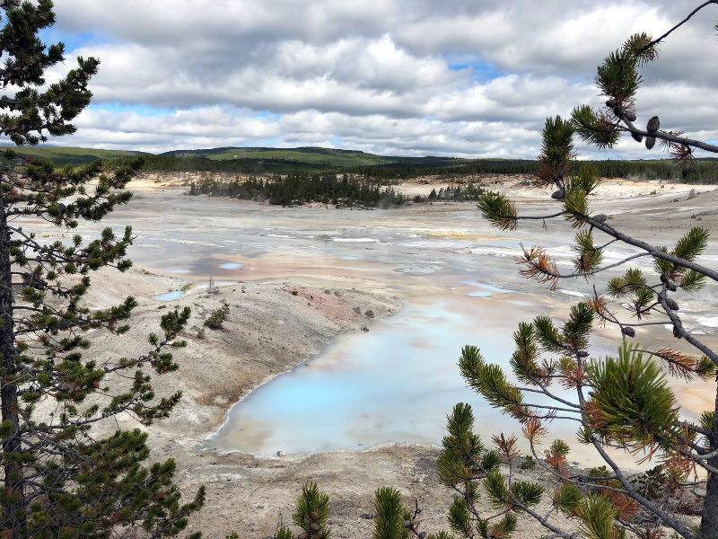 Hot springs in Yellowstone National Park