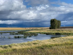 Pond near Whitefish Montana