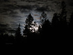 Moonrise in Montana