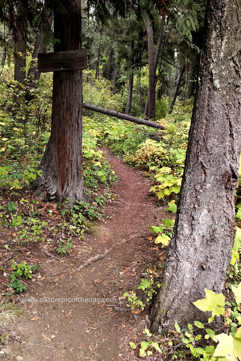 Mineral Point Trail, Lake Pend Orielle, Idaho