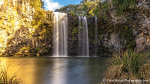 Dangar Falls, Coramba Rd, Dorrigo, NSW, Australia