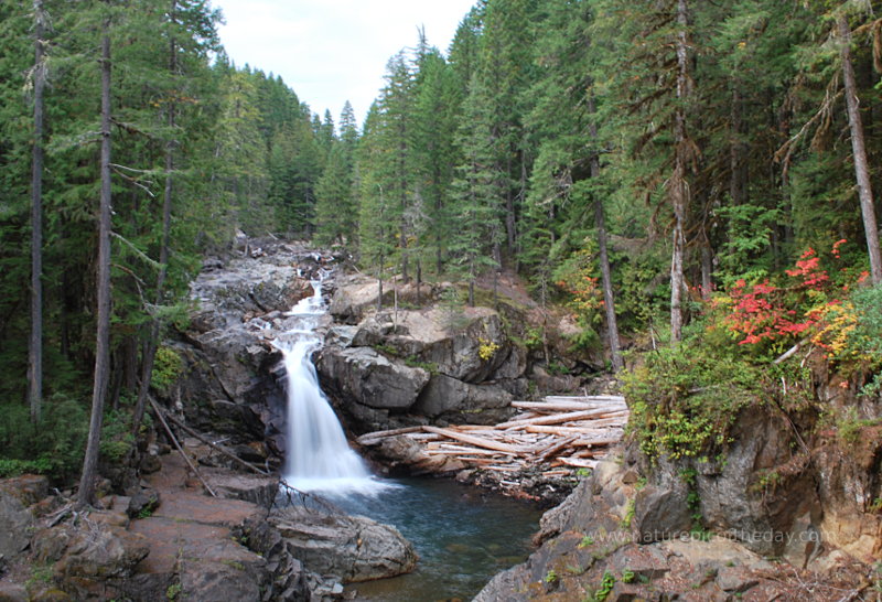 Creek on Mount Rainier