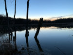 Minnesotan Lake at night.