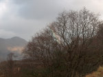 Rainbow in Ireland