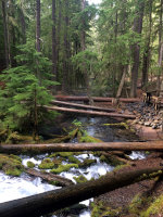 Logs crossing a  creek in Washington State.