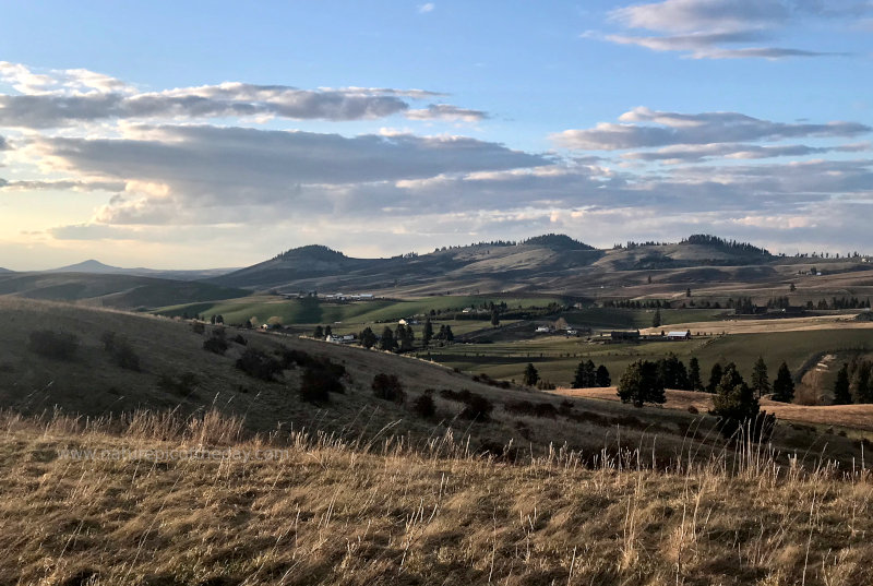 Sunset on the Palouse