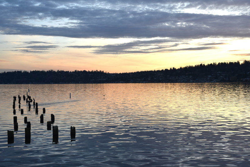 Sunset on Lake Washington in Washington State