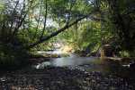 Creek in Washington State